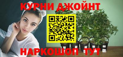 мяу мяу мука Гусиноозёрск
